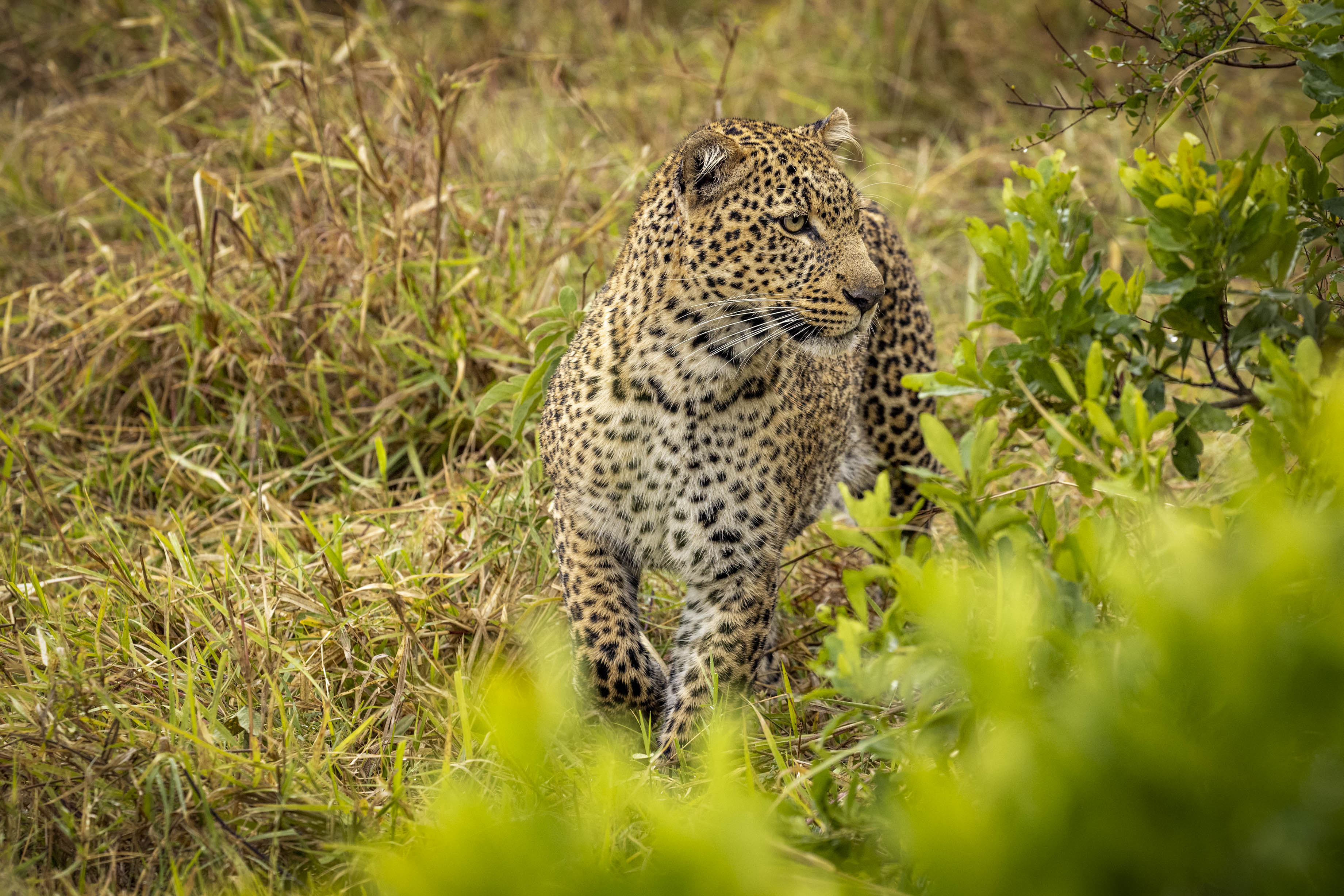 November 10, 2022-134651-3-Edit-2.jpg